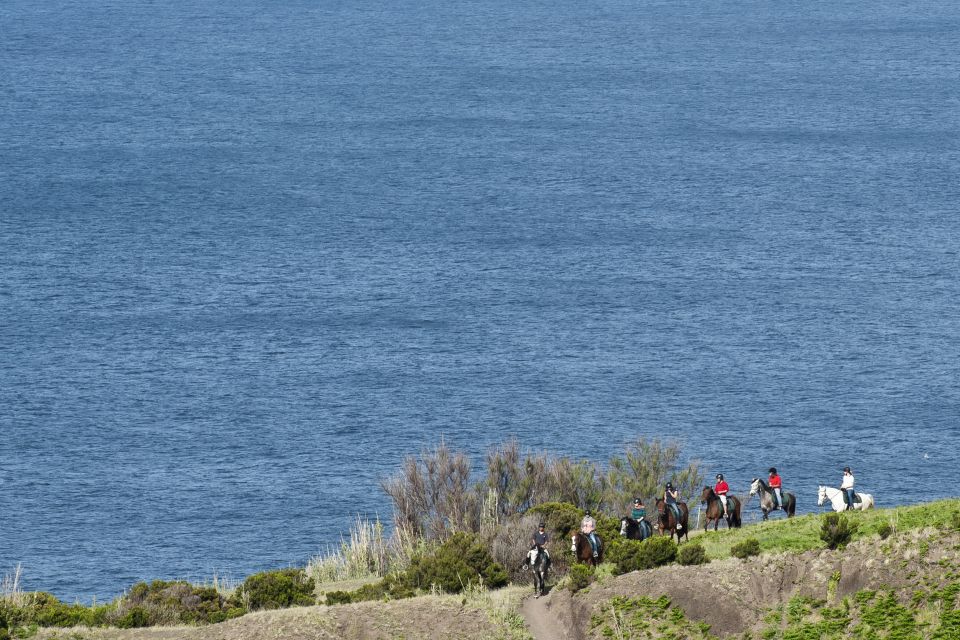 Faial Island: Horseback Riding on Lusitano Trail - Age Restrictions