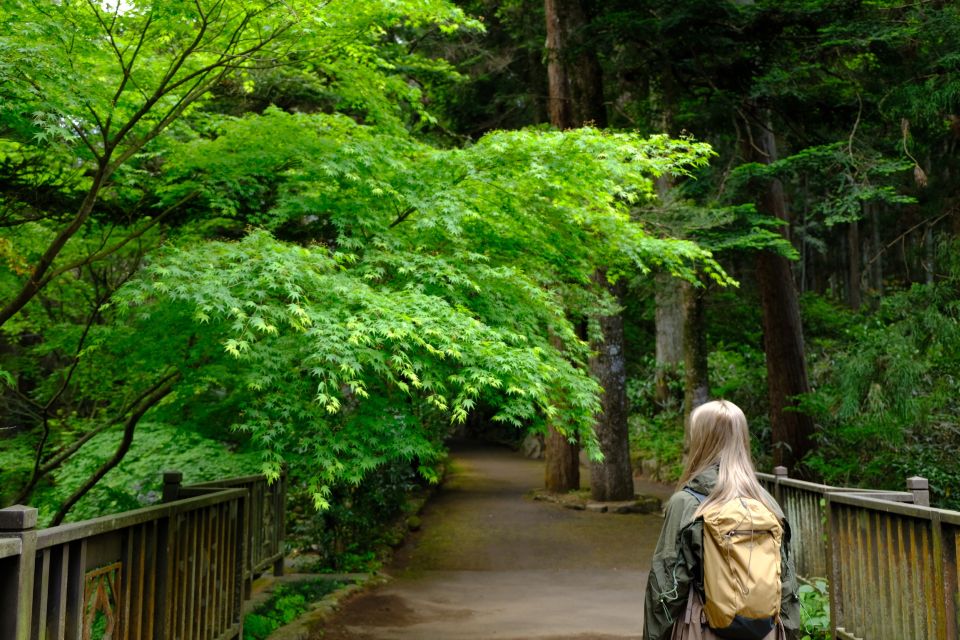 Fm Odawara: Forest Bathing and Onsen With Healing Power - Frequently Asked Questions