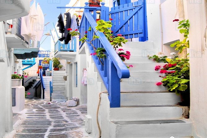 From Athens: Daily Tour to Mykonos - Frequently Asked Questions