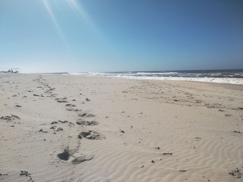 From Aveiro: Barra Beach Lighthouse & Costa Nova Guided Tour - Local Economy