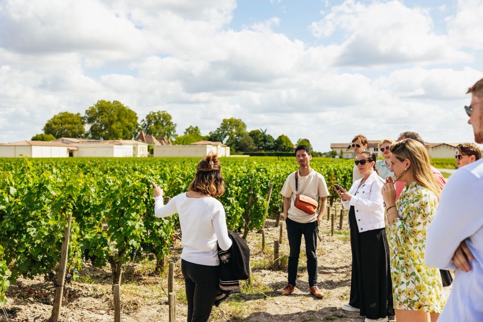 From Bordeaux: Half-Day Saint-Émilion Tour and Wine Tasting - Countryside Vineyard Views