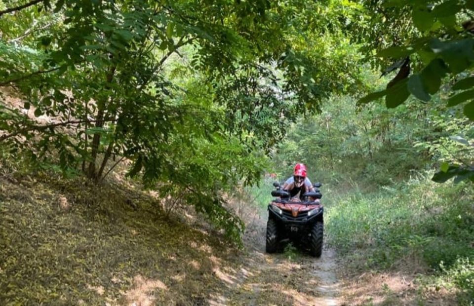 From Bucharest: Forest and Hills ATV Quad Bike Tour - Frequently Asked Questions