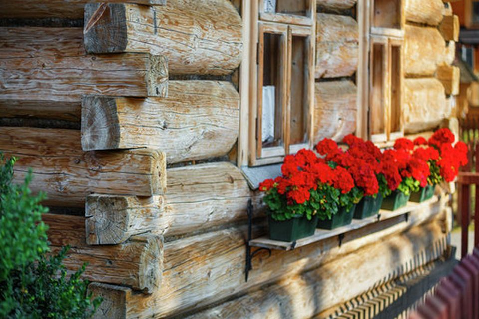 From Kraków: Slovakia Treetop Walk and Tour of Zakopane - Preparing for the Adventure