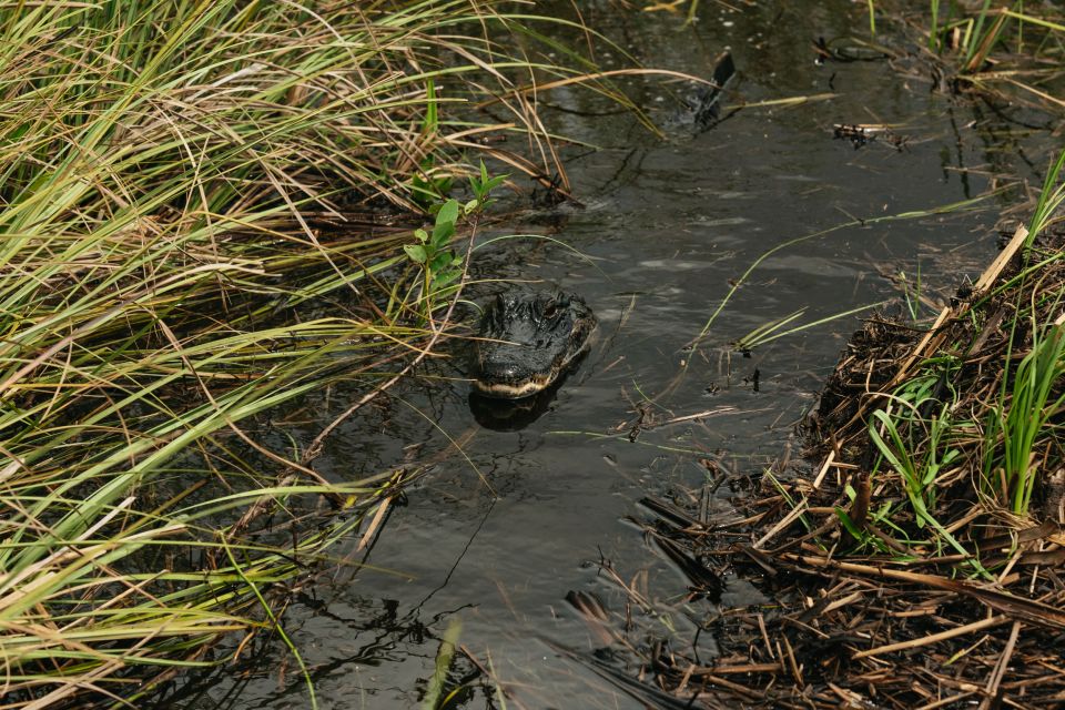 From Miami: Everglades Airboat Ride and Nature Walk - Booking and Cancellation Policy