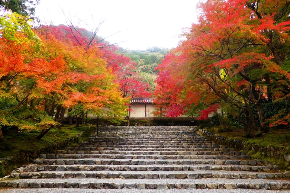 From Osaka to Kyoto: Arashiyama Bamboo Forest Tour - Key Stops