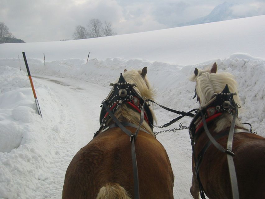 From Salzburg: Romantic Sleigh Ride Through the Countryside - Frequently Asked Questions