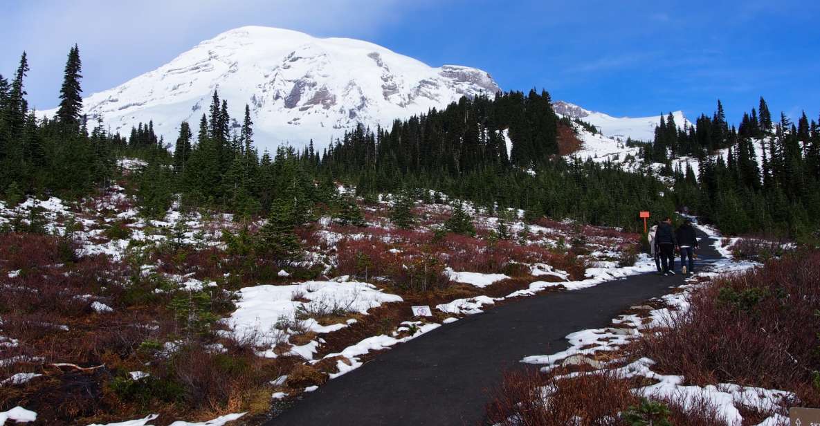 From Seattle: Mount Rainier Full-Day Tour - Frequently Asked Questions