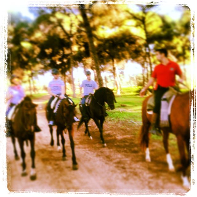 From Seville: Andalusian Horseback Ride - Customer Reviews