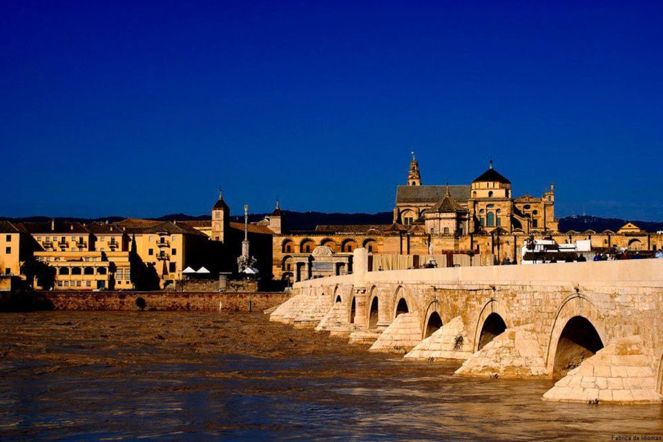 From Seville: Cordoba Full-Day Tour With Tickets Included - Customer Reviews and Ratings