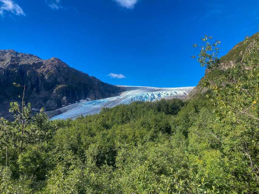 From Seward: Harding Icefield Trail Hiking Tour - Frequently Asked Questions