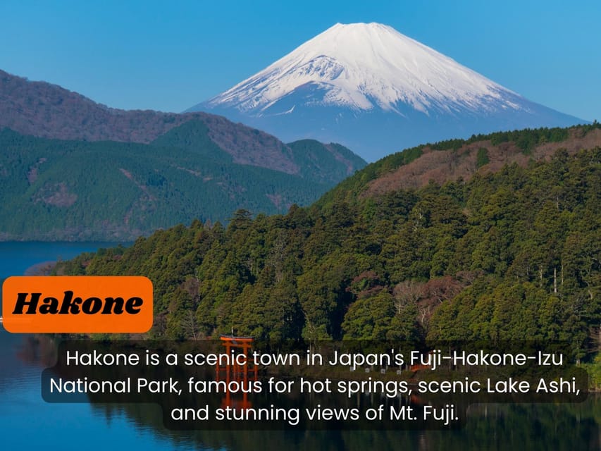 From Tokyo: Hakone, Lake Ashi Private Sightseeing Day Trip - Contact Information