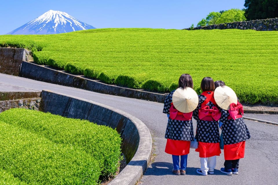 From Tokyo: Mount Fuji Highlight Photo Spots Full-Day Tour - Transportation and Guides