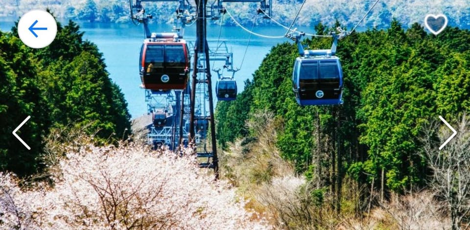 From Tokyo: Mt. Fuji or Hakone Private Sightseeing Day Trip - Additional Information