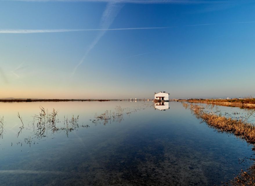 From Valencia: Albufera Tour With Paella, Boat Ride & Walk - Important Considerations