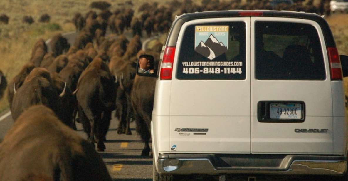 From West Yellowstone: Lamar Valley Wildlife Tour by Van - Tour Pickup Locations