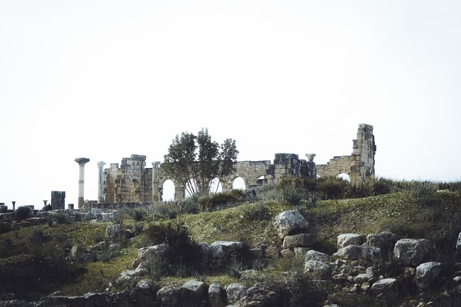 Full-Day Historical Tour to Meknes Volubilis and Moulay Idriss - Additional Details