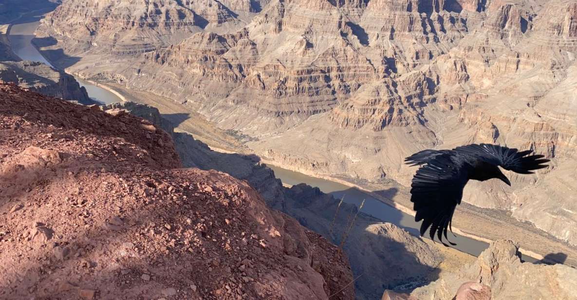 Grand Canyon & Hoover Dam: Private Tour From Las Vegas - Tour Duration and Highlights