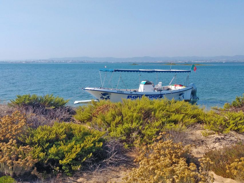 Hello: Private Boat Tour to Ria Formosa - Learning About the Natural Park