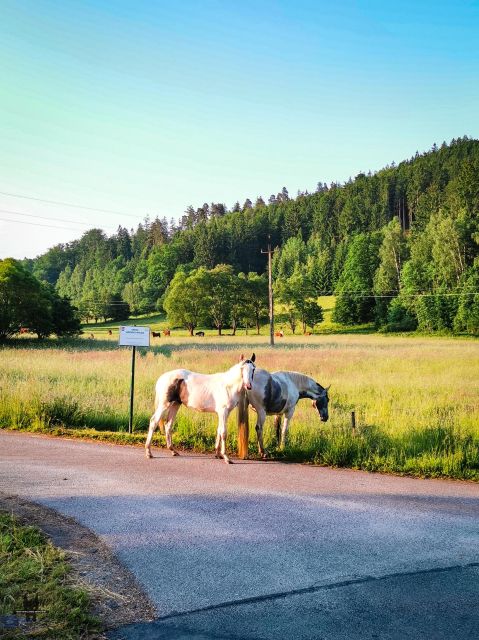 Hike in Polish Mountains: Day Trip to Rudawy Janowickie - Private Transport