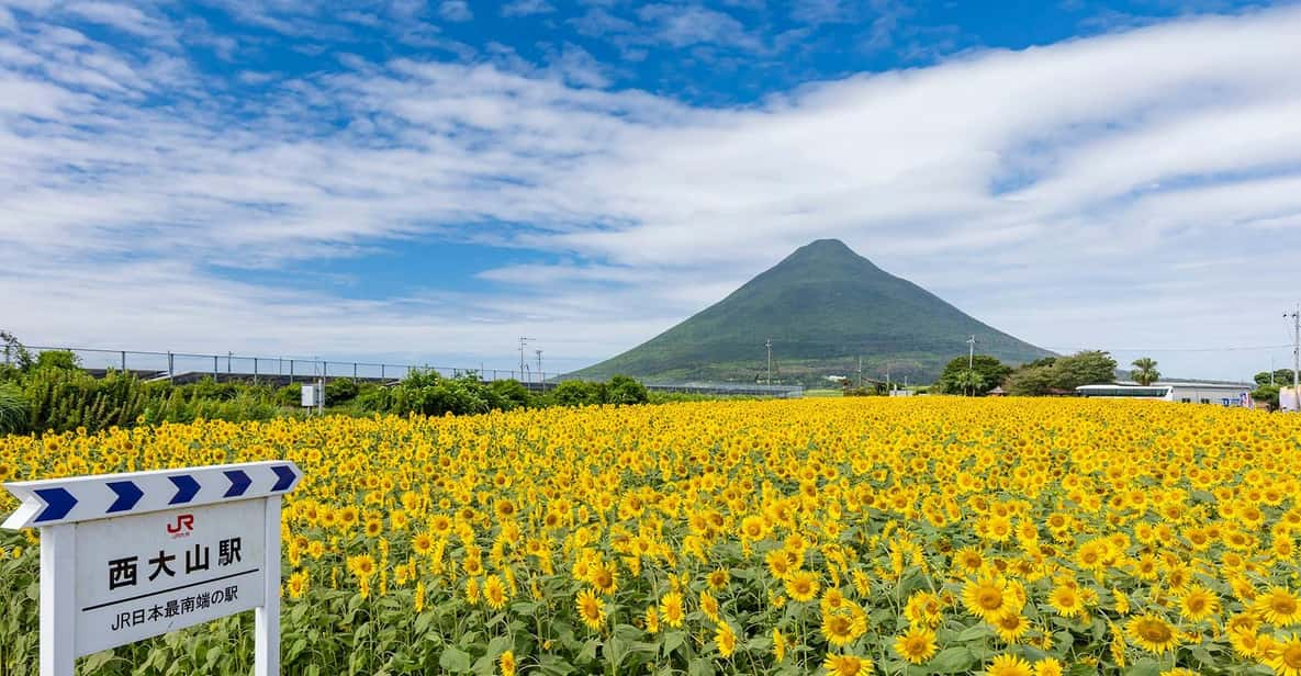 Kagoshima: Ibusuki City and Mount Kaimon Dake Tour Review - Feedback and Reviews