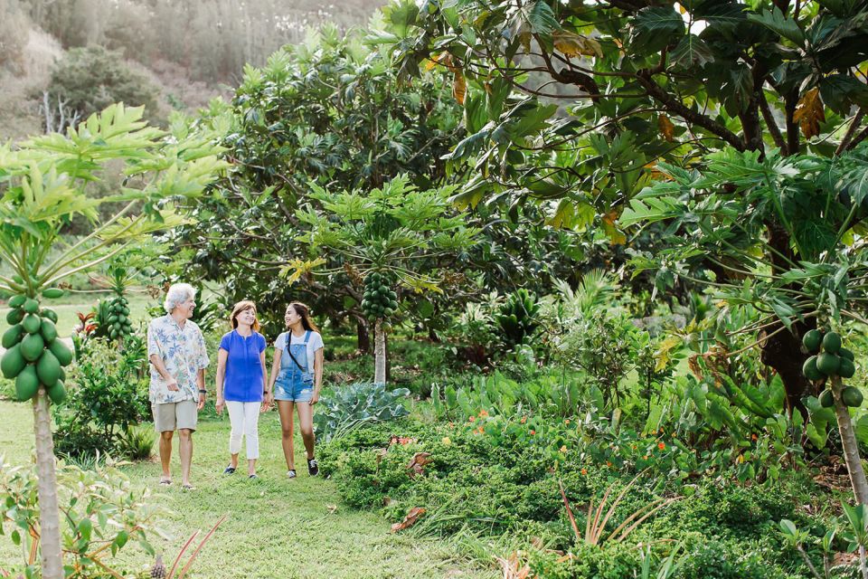 Kauai: McBryde Garden Self Guided Visit - Customer Feedback and Ratings