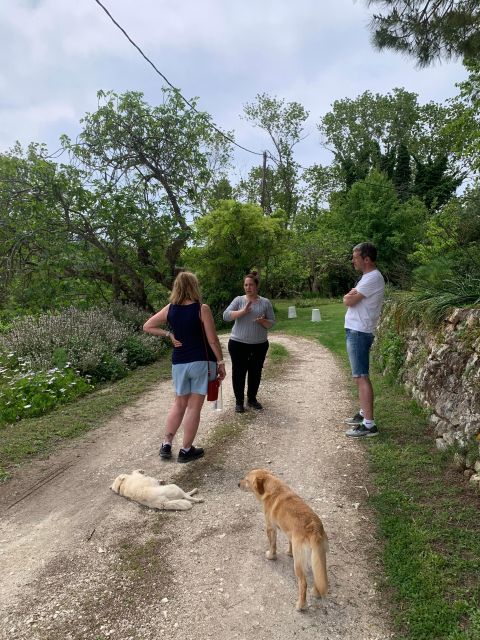 Kefalonia Wine Tour on E-Bikes - Wine Tasting and Vineyard Tour