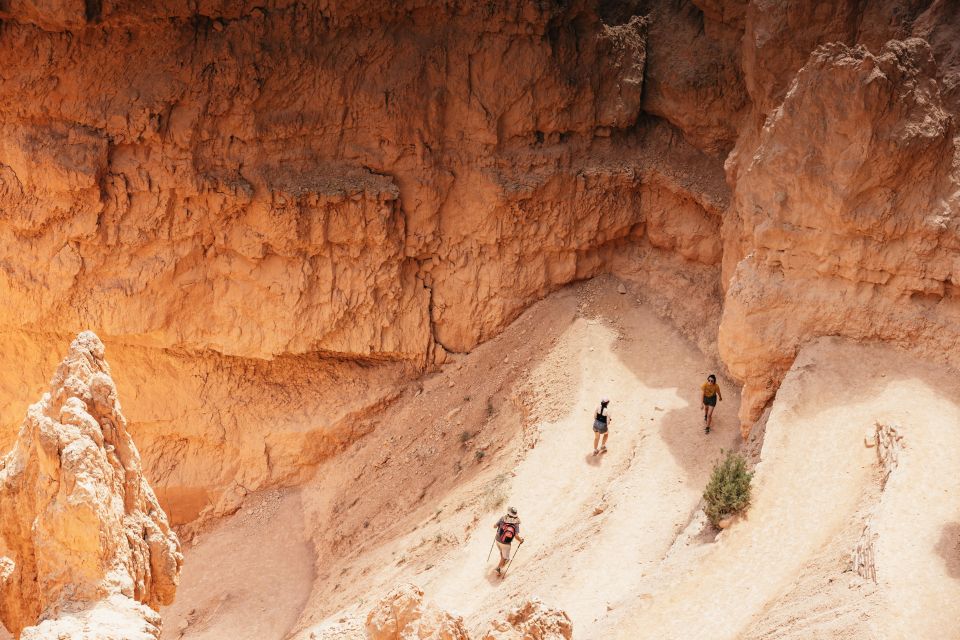 Las Vegas: Bryce and Zion National Parks, Lunch & Free WiFi - Frequently Asked Questions