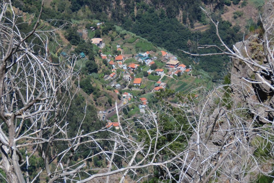 Madeira: Cabo Girao and Camara De Lobo 4WD Half-Day Tour - Suitability and Restrictions