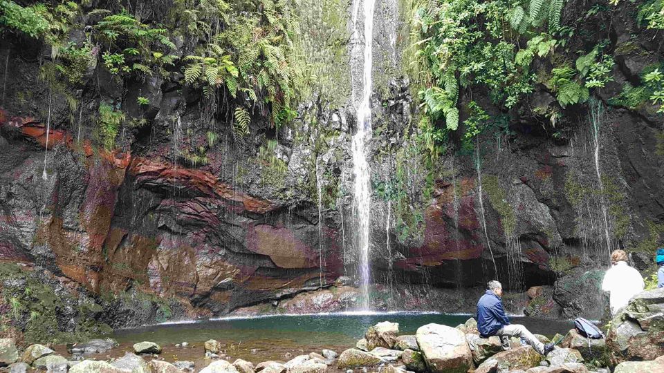 Madeira: Private Walking Tour of Levada Das 25 Fontes PR6 - Guides Expertise and Storytelling