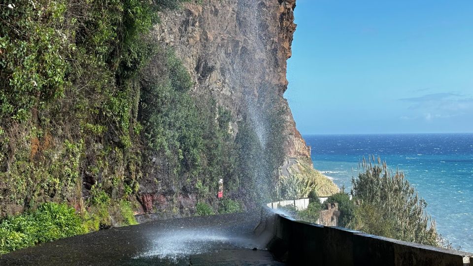 Madeira: Sunny South Side - Cabo Girão, Waterfall Anjos - Câmara De Lobos and Inclusions