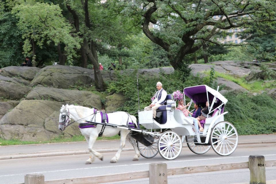 Manhattan: VIP Private Horse Carriage Ride in Central Park - Meeting Point and Getting There