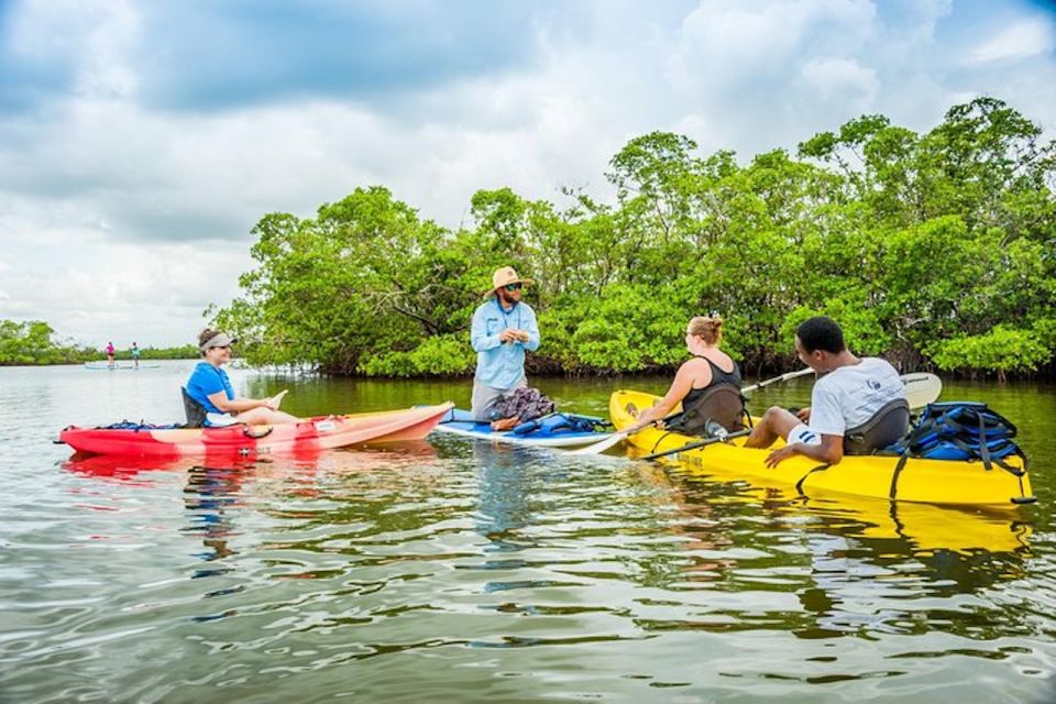 Marco Island: Kayak Mangrove Ecotour in Rookery Bay Reserve - Customer Feedback