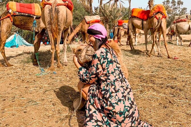 Marrakech Sunset Camel Ride in the Palm Grove - Additional Information