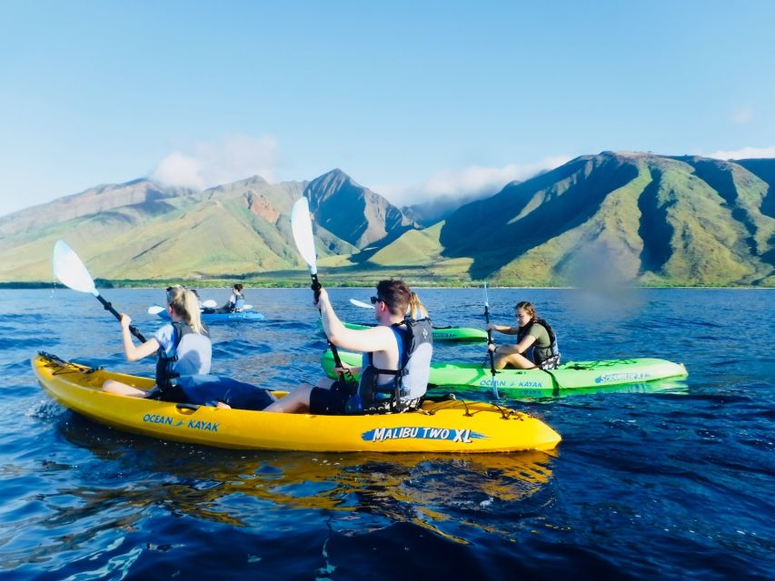 Maui: West Side Discovery Kayak & Snorkel From UKUMEHAME - Whale Watching Opportunities