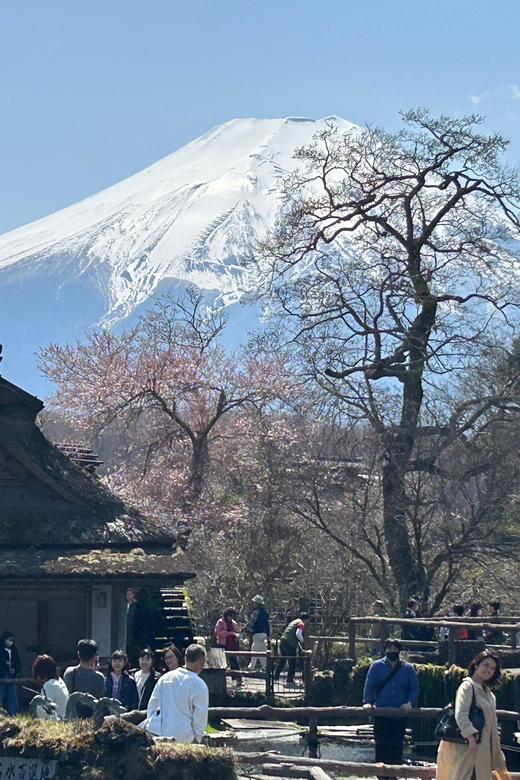 Mt.Fuji Tour, Tokyo / Yokohama ⇒ Tokyo, 2-4 Guests - Vehicle Options