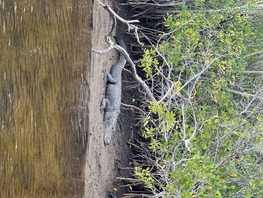 Naples, FL: Manatee, Dolphin, 10,000 Islands Beach Eco Tour - Booking Details and Policies