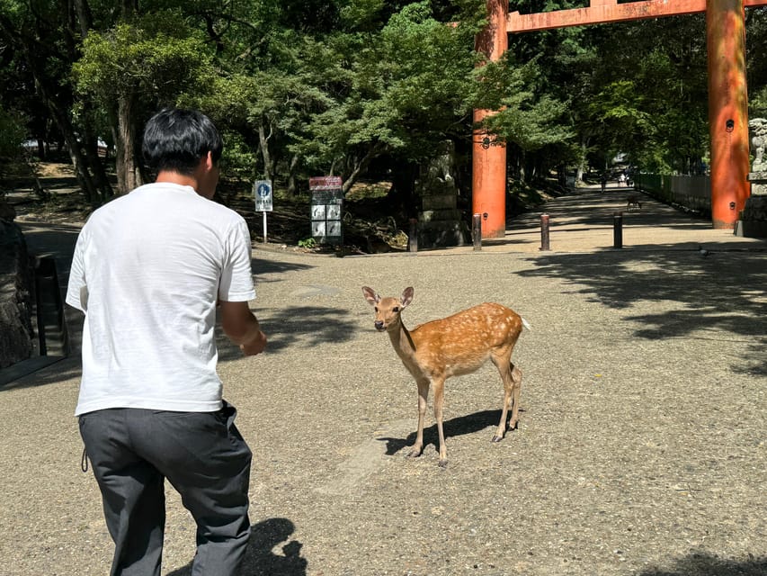 Nara: Tohdaiji Temple Experience Review - Engaging With the Guide