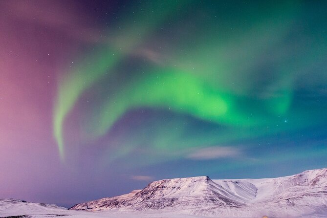 Northern Lights Tour With Icelandic Snacks and Hot Chocolate - Tour Inclusions and Reviews