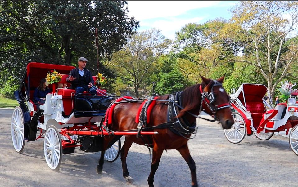 NYC: Guided Standard Central Park Carriage Ride (4 Adults) - Romantic and Family-Friendly Occasion