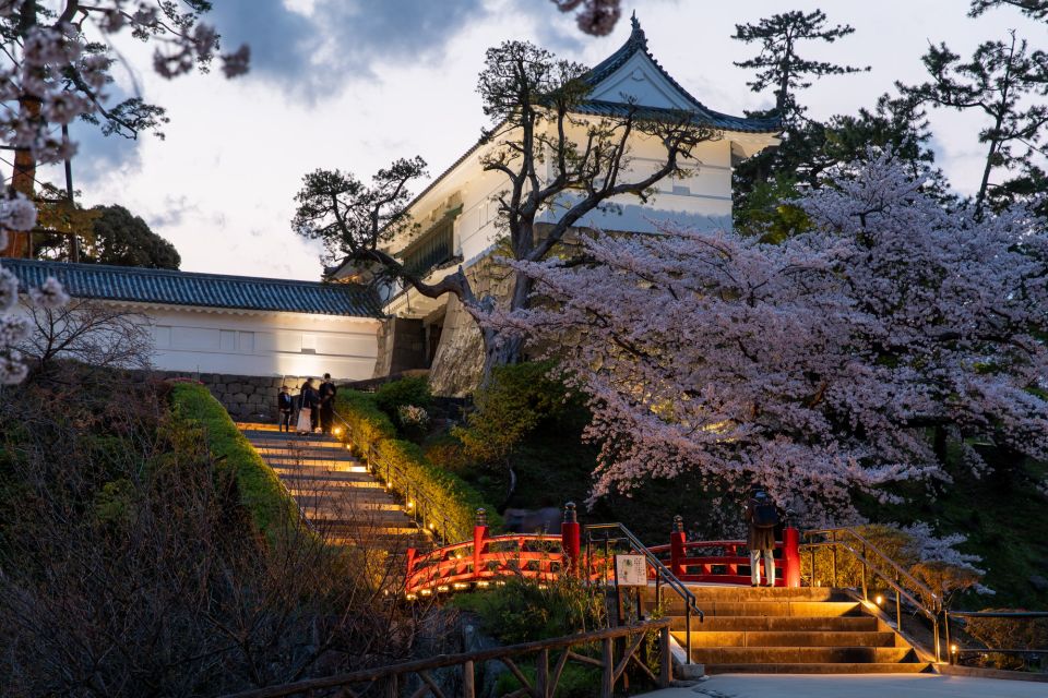 Odawara: Odawara Castle and Town Guided Discovery Tour - Guided Experience Insights