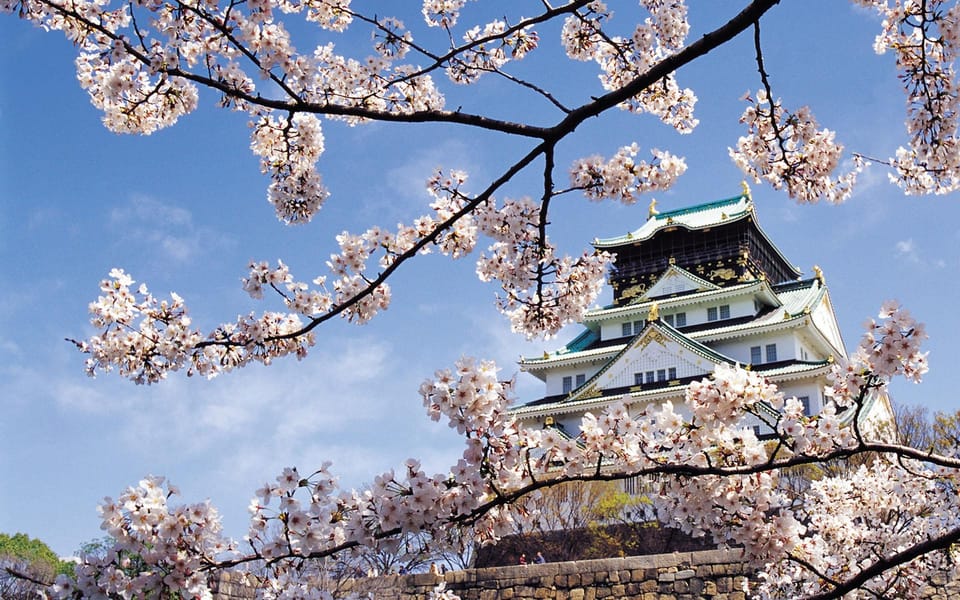 One Day Private Customized Self-Guided Tour in Osaka - Additional Fees and Charges