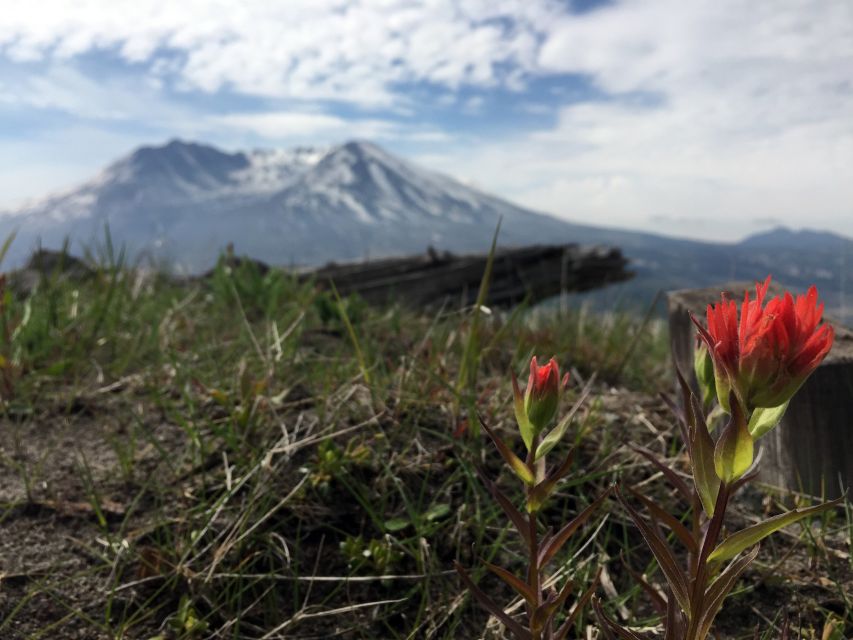 Portland: The Mt. St. Helens Adventure Tour - Tour Details and Restrictions