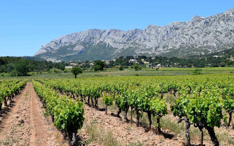 Provence, Vineyards & Lavender Fields Private Day Trip - Booking and Cancellation