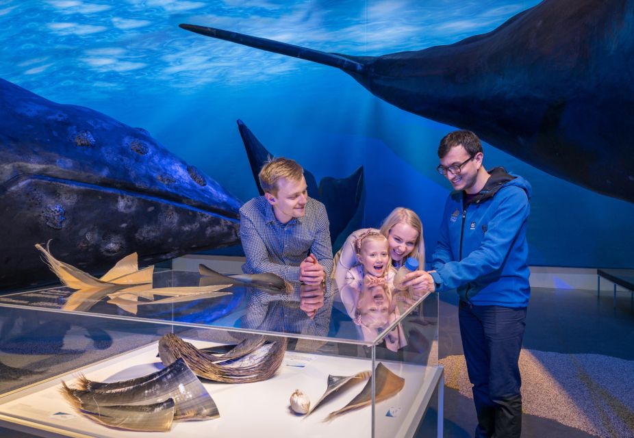 Reykjavik: 2-Hour Northern Lights by Boat With Backup Plan - Whales of Iceland Exhibition