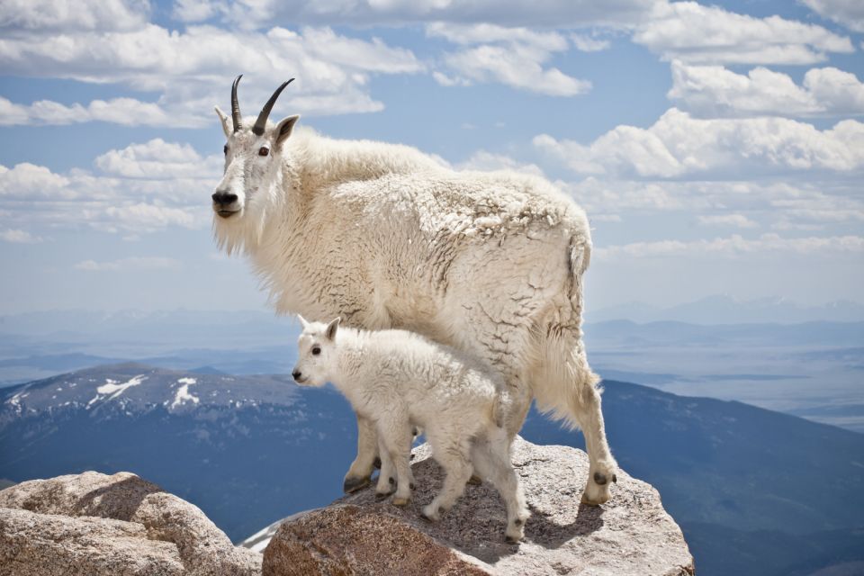 Rocky Mountain National Park: Driving Audio Tour App - Unique Tour Experience