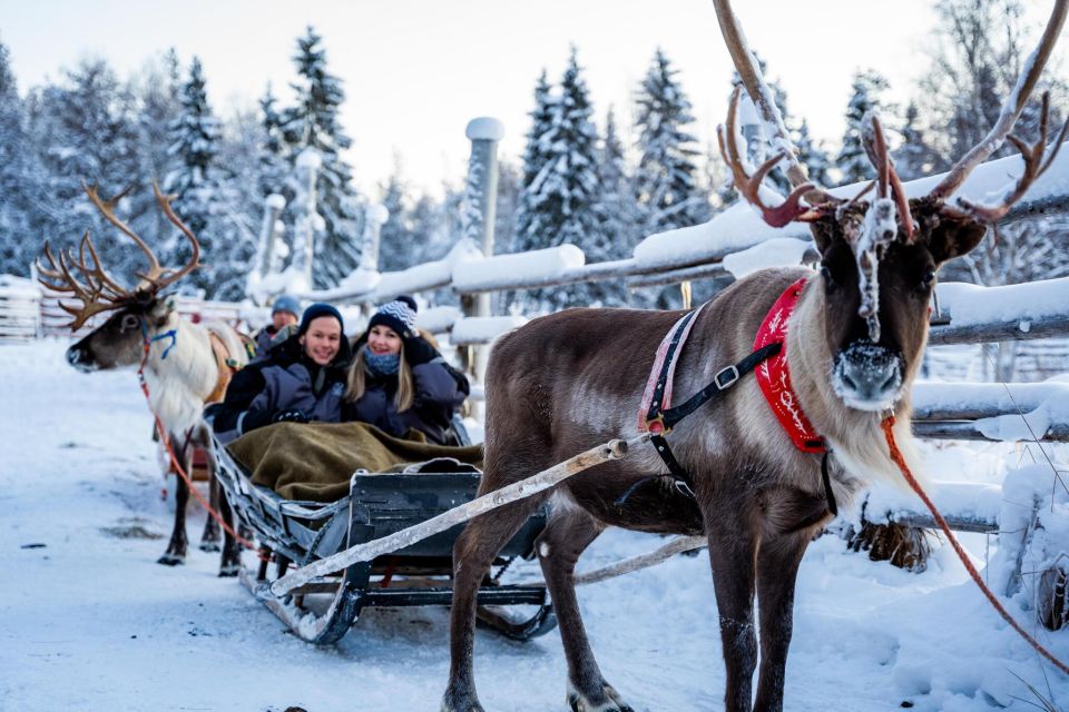 Rovaniemi: Santa Claus Village, Husky & Reindeer Sled Ride - Visiting the Husky Farm