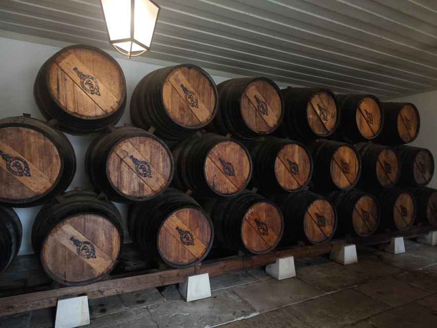 Setúbal Wine Tour: Discover the Moscatel Wine - Small Group Experience