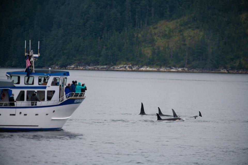 Seward: Kenai Fjords National Park Extended Cruise - Recommended Attire and Items