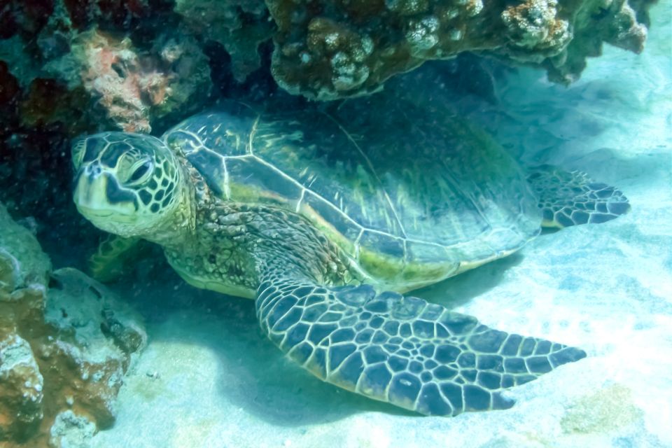 South Maui: Eco Friendly Molokini and Turtle Town Tour - Booking and Cancellation