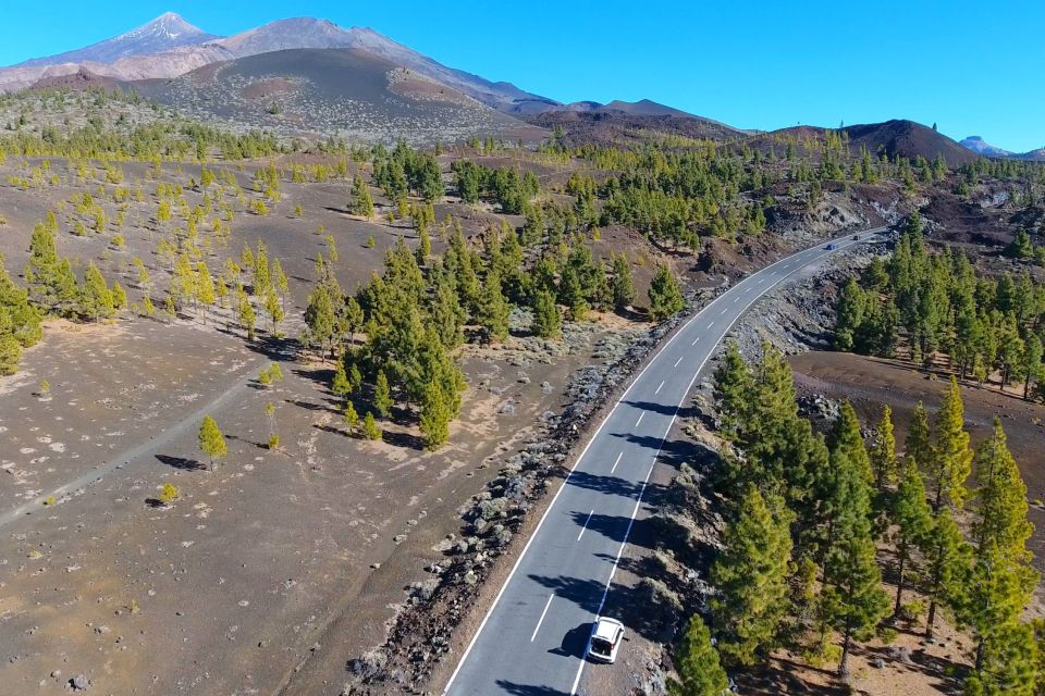 Tenerife: Mount Teide Quad Tour in Tenerife National Park - Booking and Reservation